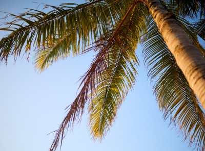 Tourism Whitsundays (2)