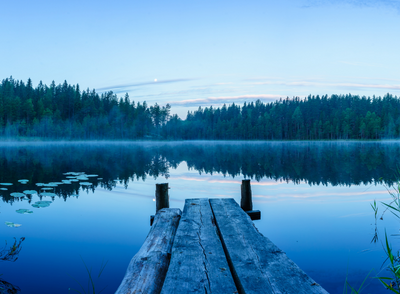 calm app