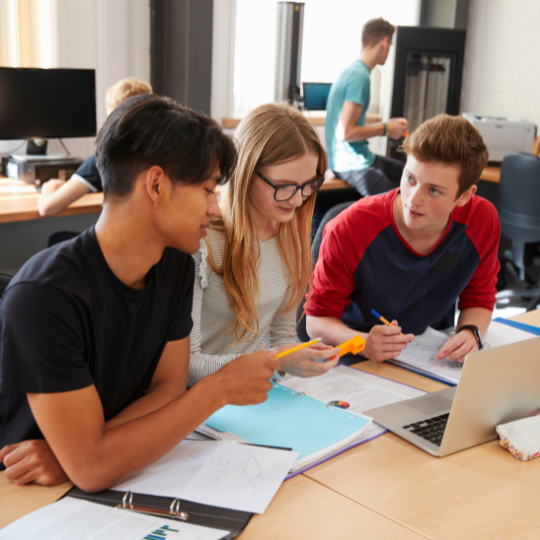 subject thumbnails SIB